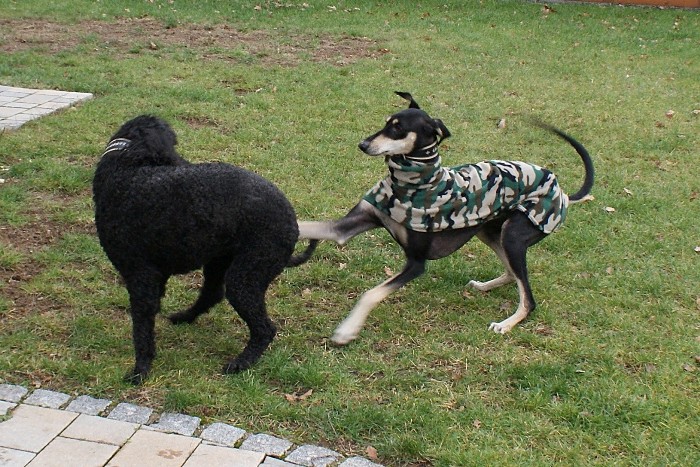 Hanka + Mitraa